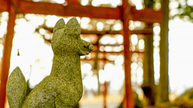 神社へお参りすると良い理由