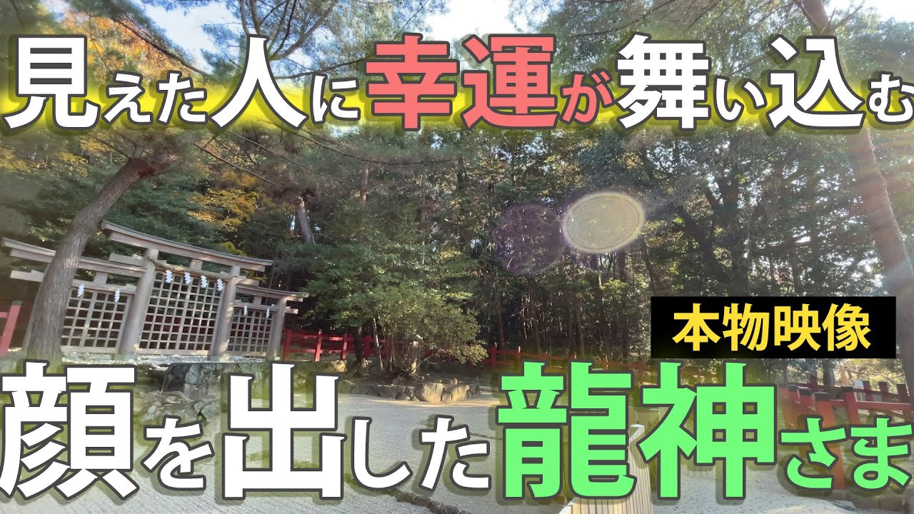 神様が映った!大神神社摂社で光と共に現れた龍神(蛇)を捉えた強運映像