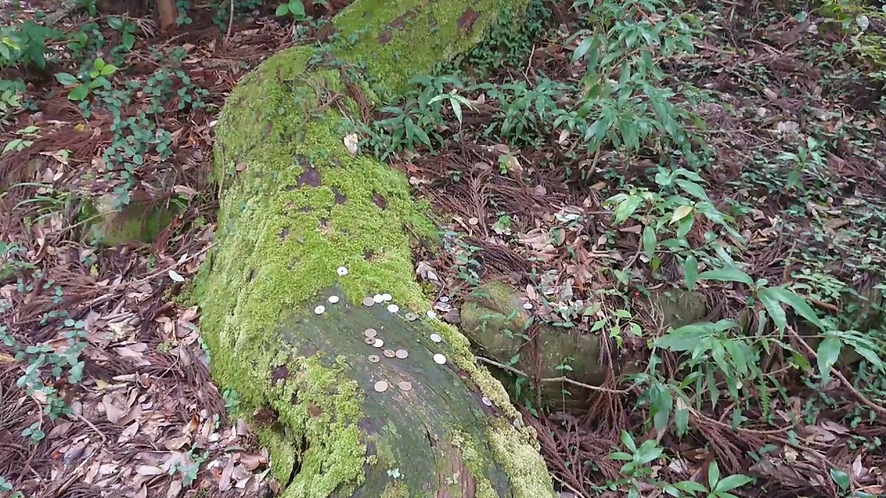 広島 島根 パワースポット3神社巡り