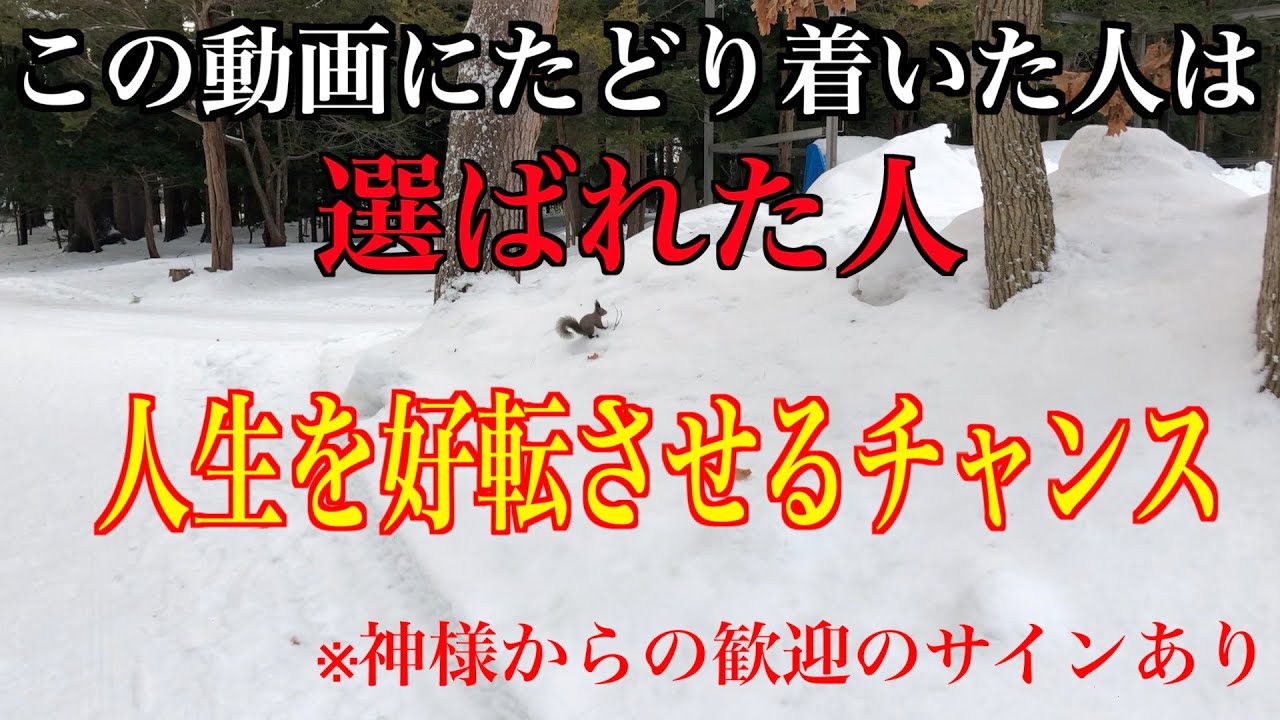 【遠隔参拝】北海道最強のパワースポット！龍脈の気が集う最強開運神社！