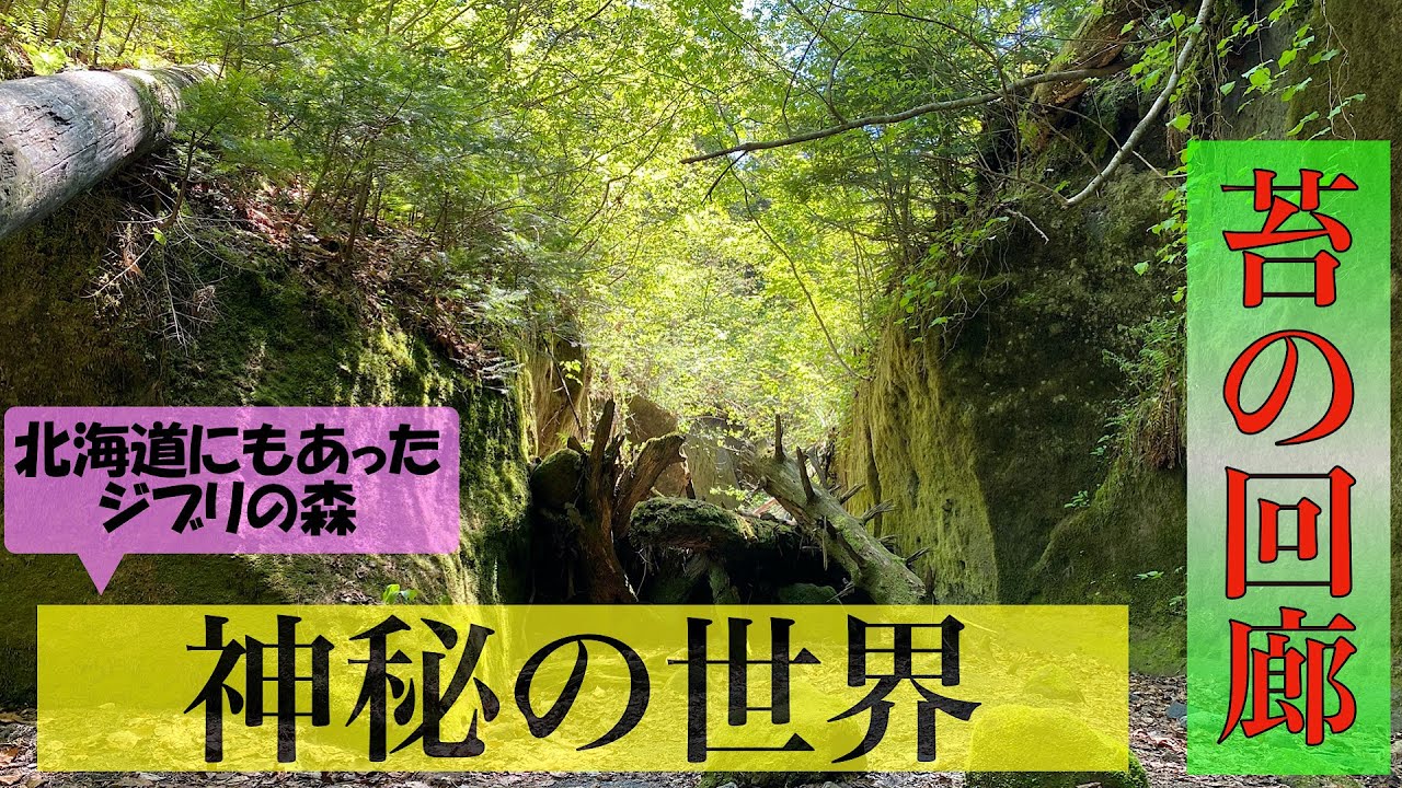 【苔の回廊】北海道の知られざるパワースポットへ行ってみたらそこはジブリの世界だった