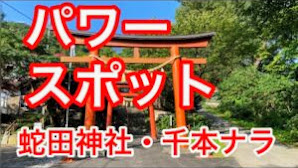 パワースポットシリーズ①　北海道　蛇田神社、浜益　千本ナラ