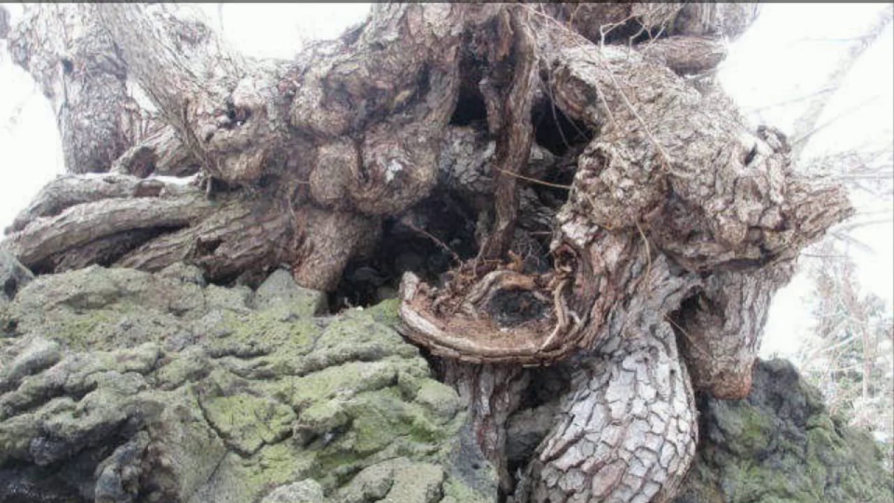 北海道伊達市 有珠町隠れパワースポット