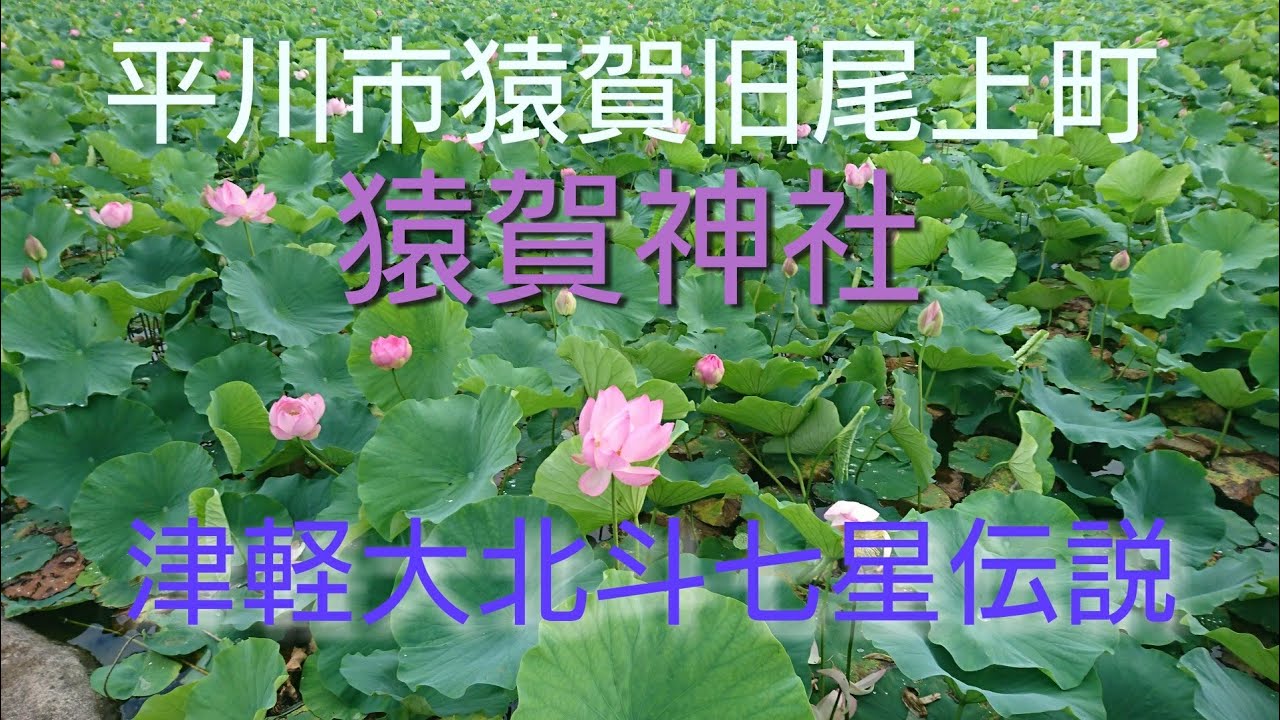 【平川市旧尾上】猿賀神社【青森県最強? パワースポット】