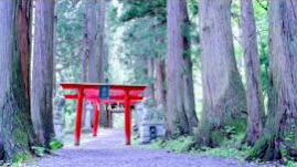 【岩手県八幡平市】何度も行きたいパワースポット