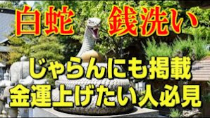 栃木県の白蛇弁財天｜御神水で洗うお金を洗う「金運銭洗いの瀧」