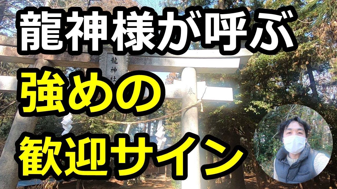 【神社】龍神が呼ぶ強めの歓迎サイン 栃木県 間々田 野木町 龍神社 竜 竜神