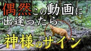 京都最強金運パワースポットの恩恵※怖いくらい臨時収入※金運 開運