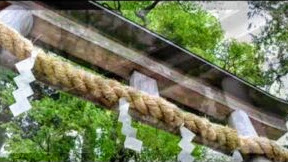 神社ヒーリング 新緑の比々多神社 神奈川県のパワースポット神社