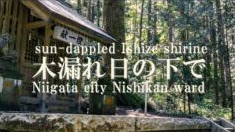 ほだれ大神(4K映像・パワースポット!!)新潟県長岡市