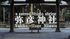 弥彦神社（4K映像・2021パワースポット!!）新潟県弥彦村