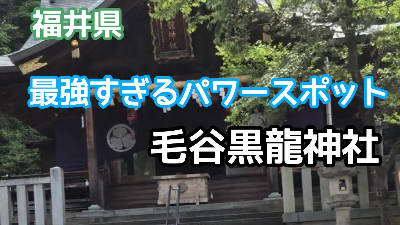 【福井県パワースポット】龍神様の強いパワーを授かる、開運•商売繁盛・子授け・安産の神社