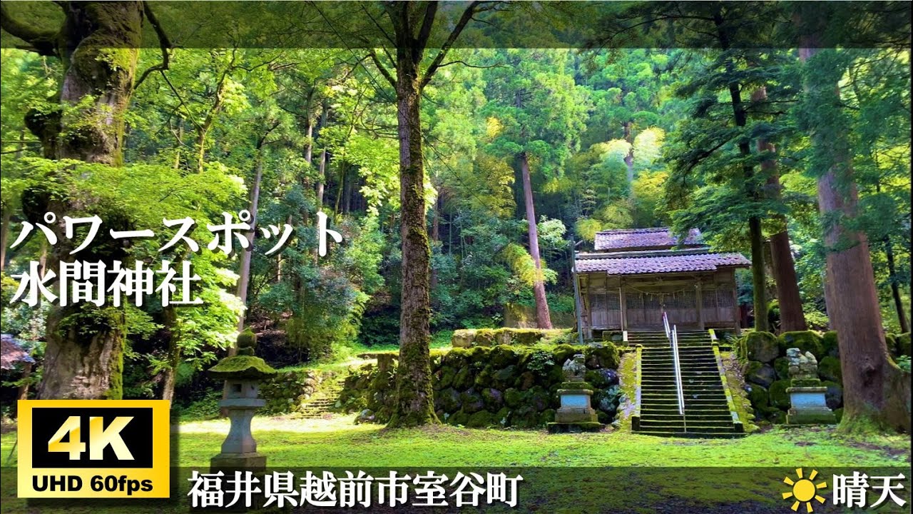 【福井県民しか知らない⁉️】水間神社／福井県越前市室谷町／けやきの里／パワースポット