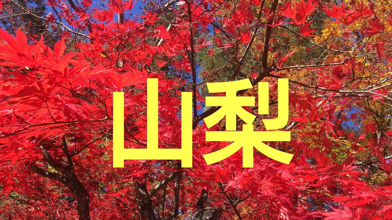 パワースポット山梨県の紅葉と温泉の旅【金桜神社、板敷渓谷】