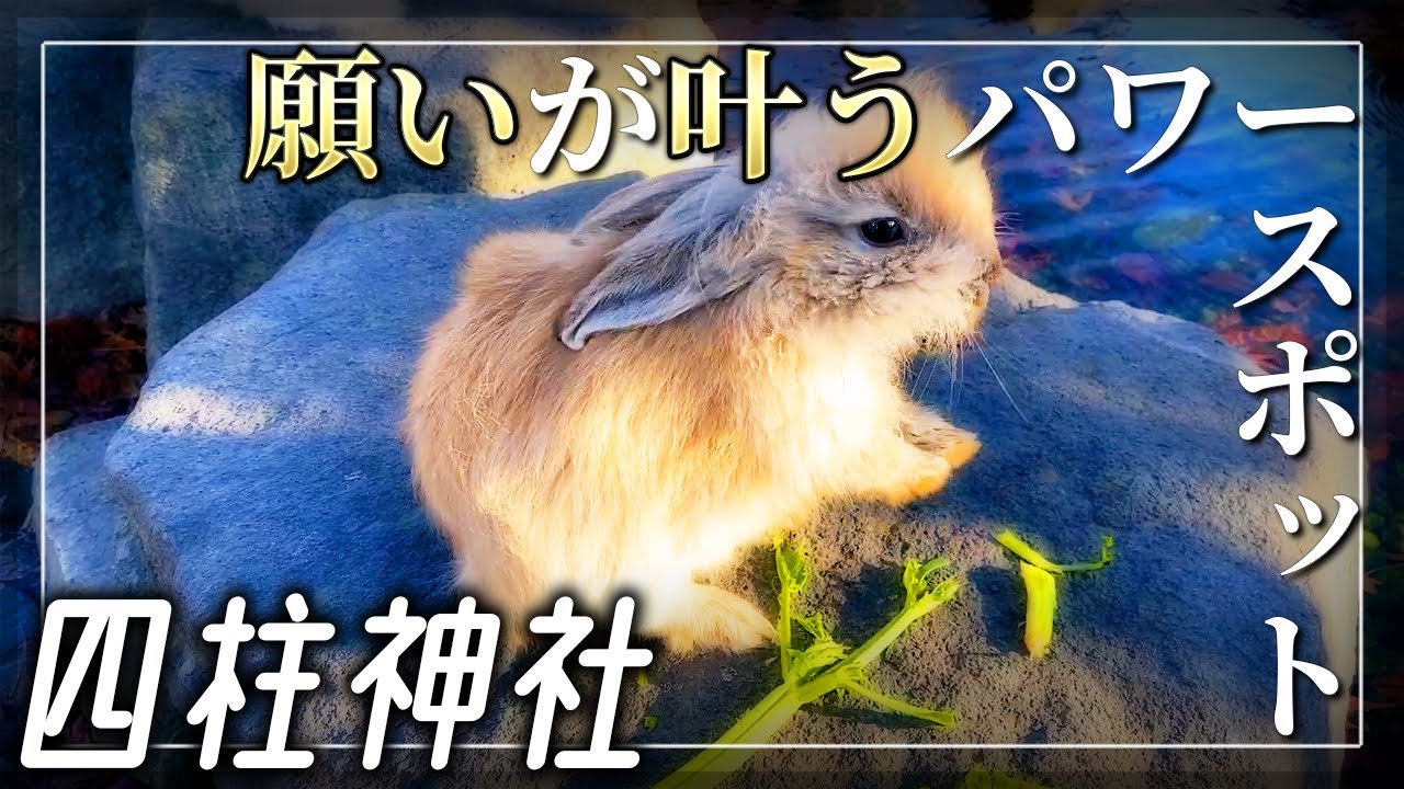 【四柱神社】松本城下に鎮座する願いが叶うパワースポット 【長野県松本市】