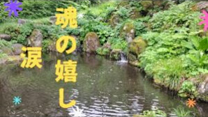 【パワースポット神社】岐阜県郡上市 白山中居神社  「神様が持っている杖が欲しいなぁ」