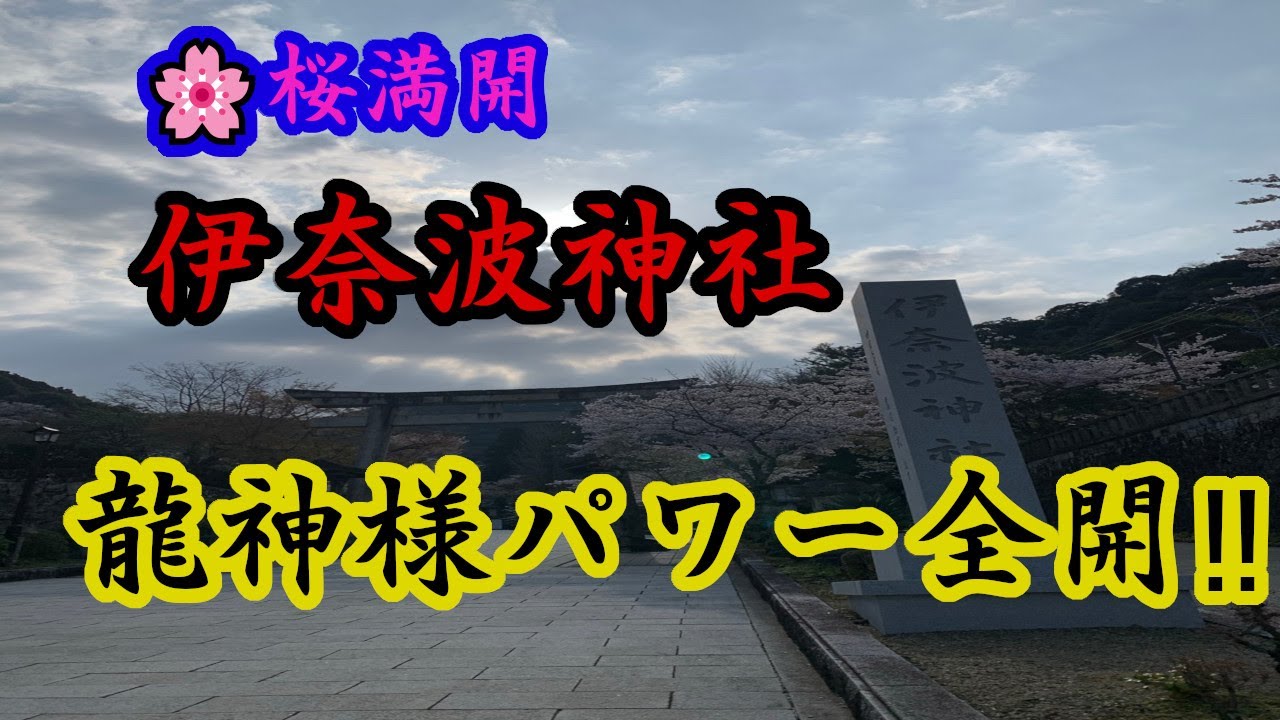 【伊奈波神社】黒龍社の波動が振動 潜在意識が浄化され運気アップ 風の時代、見ただけで夢が叶う