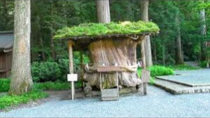 静岡県のパワースポット　遠江國一宮　小國神社