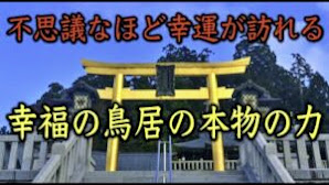 【秋葉山本宮秋葉神社上社遠隔参拝】見始めたときから幸運を引き寄せる幸福の鳥居