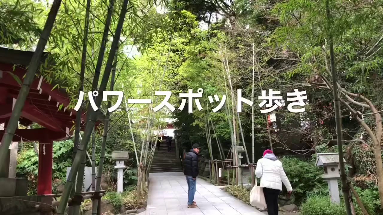 【パワースポット歩き】静岡県熱海市　来宮神社