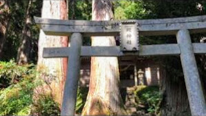 愛知県　奥三河最強パワースポットを巡りました