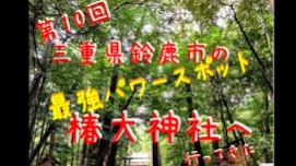 三重県鈴鹿市の最強パワースポット❗️椿大神社はまるで異空間⁉️