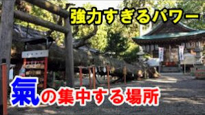 【パワースポット旅#7】賀茂神社/滋賀県　氣が集まる場所、強力すぎるパワー