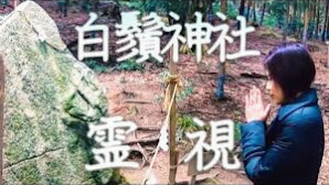 白鬚神社霊視🔯本当にすごいのは有名な鳥居よりも本殿裏の・・・！🔯滋賀県琵琶湖