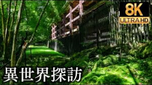 【パワースポット8K】滋賀県「石山寺」の参拝