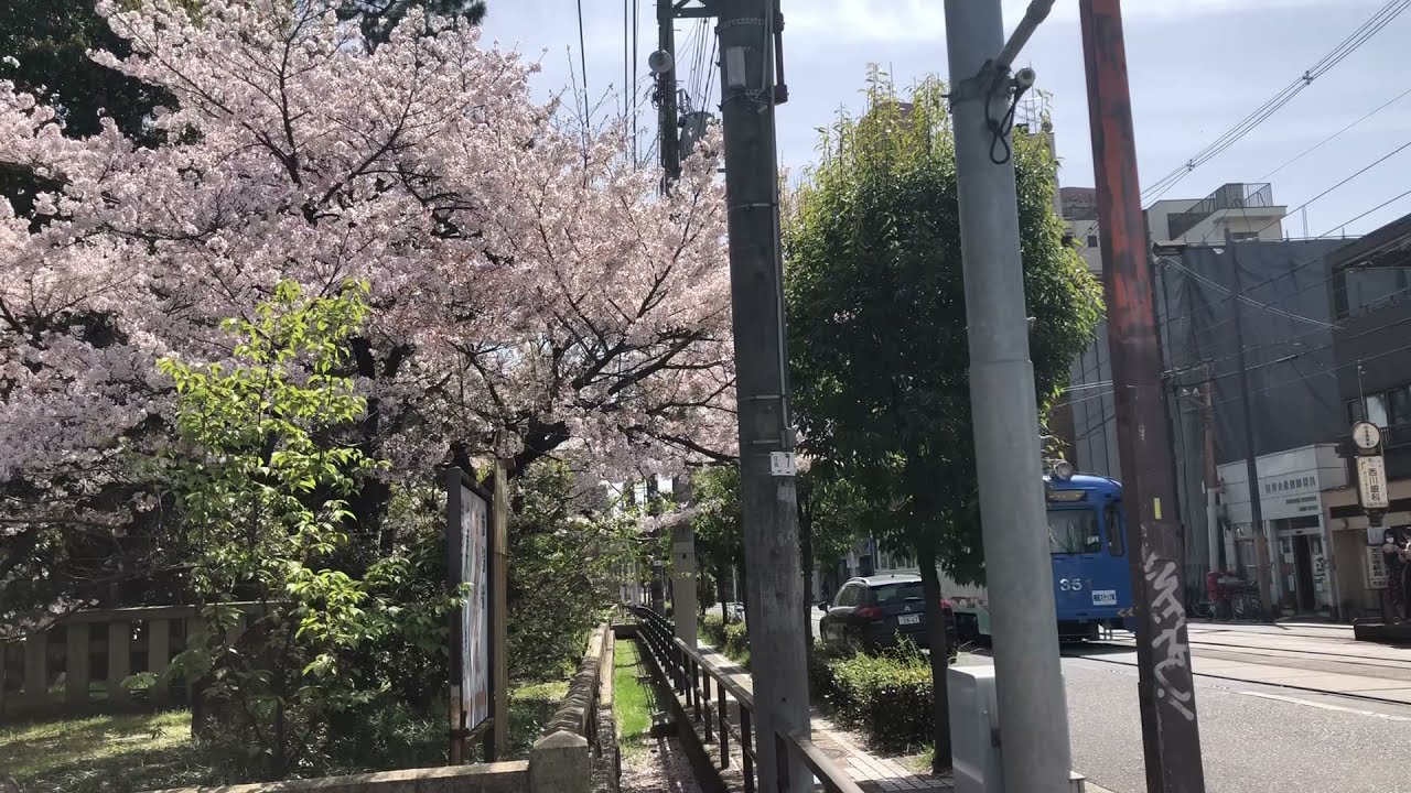 大阪随一の強力パワースポット。人気の聖地へ心願成就のリモート参拝