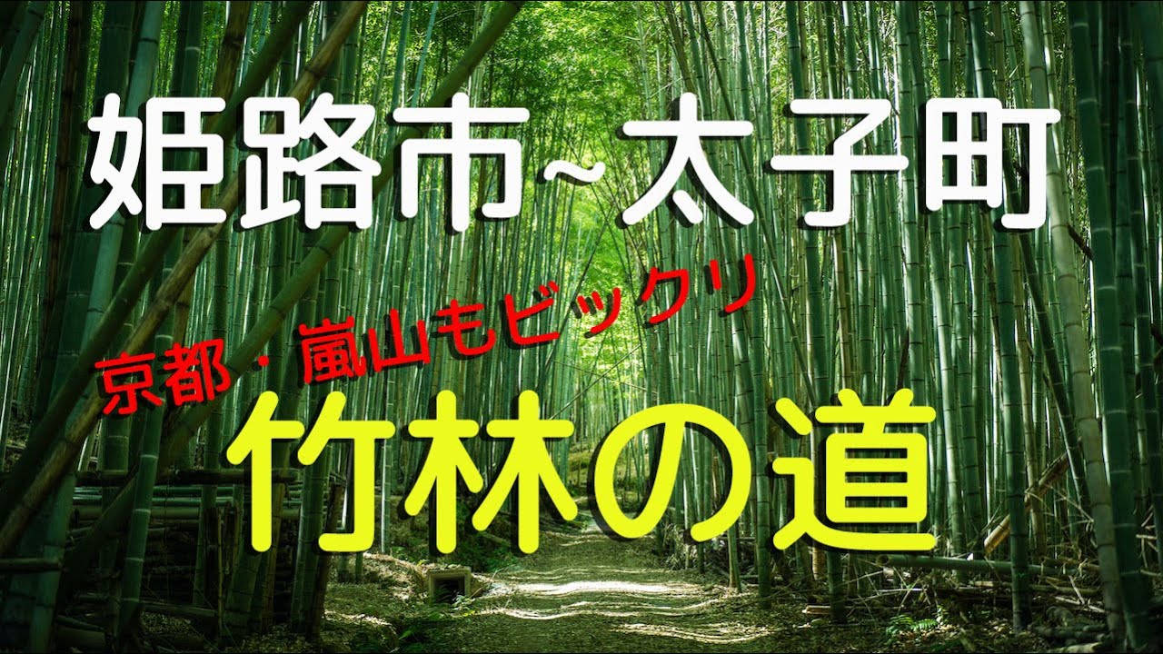 【姫路市〜太子町】穴場パワースポット・破磐神社のわれ岩と竹林の道
