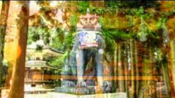 和歌山県のパワースポット　高野明神　丹生明神