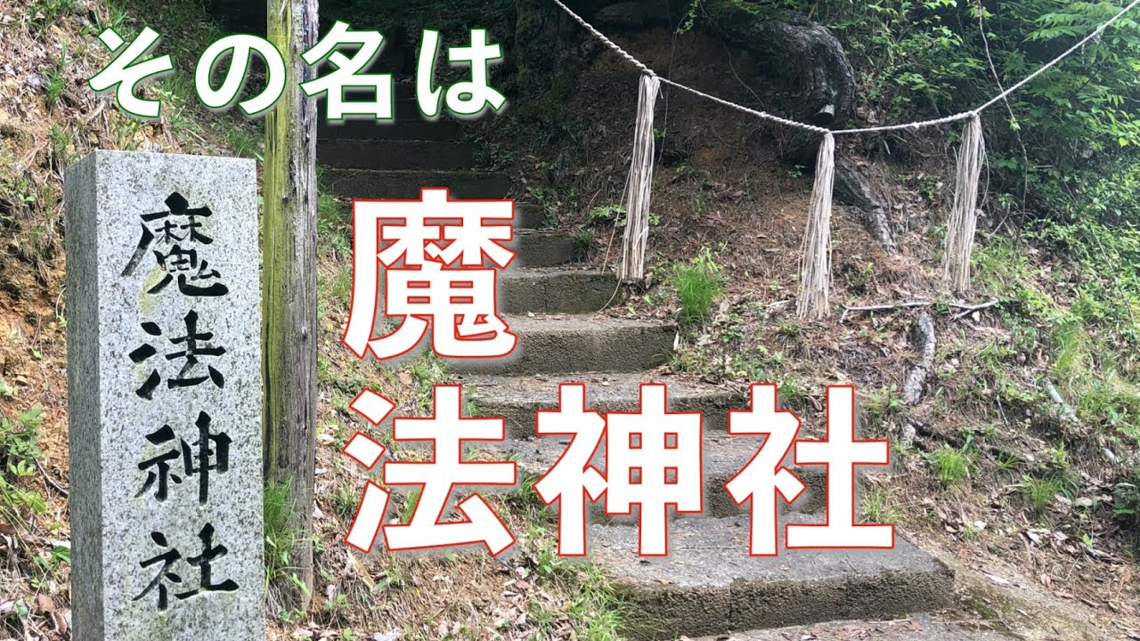 緑のトンネルの先にひっそり佇む神社｜岡山県総社市 トトロの森っぽい魔法神社 ｜魔法神社