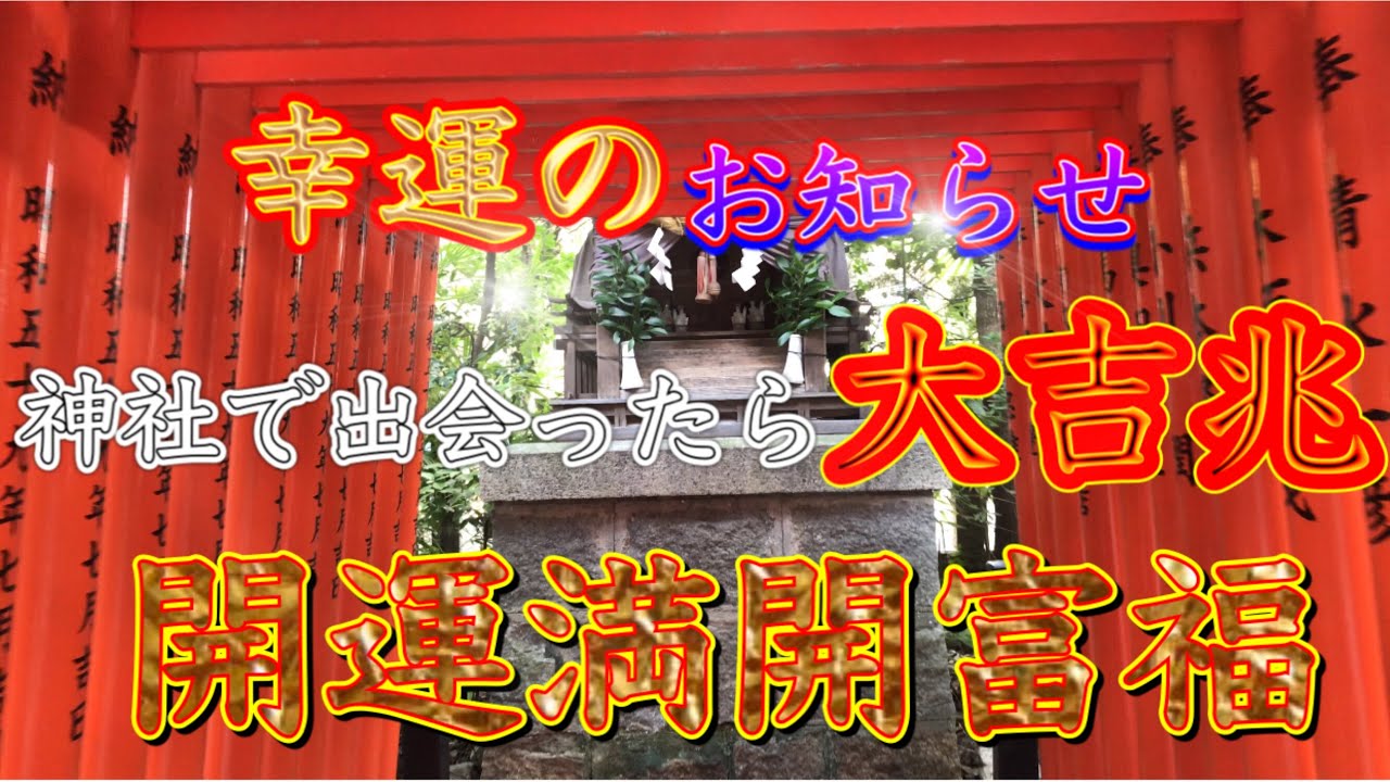 【空鞘稲生神社⛩広島県】神様の使い現る✨生命力溢れるパワースポット✨開運力金運爆上げ✨