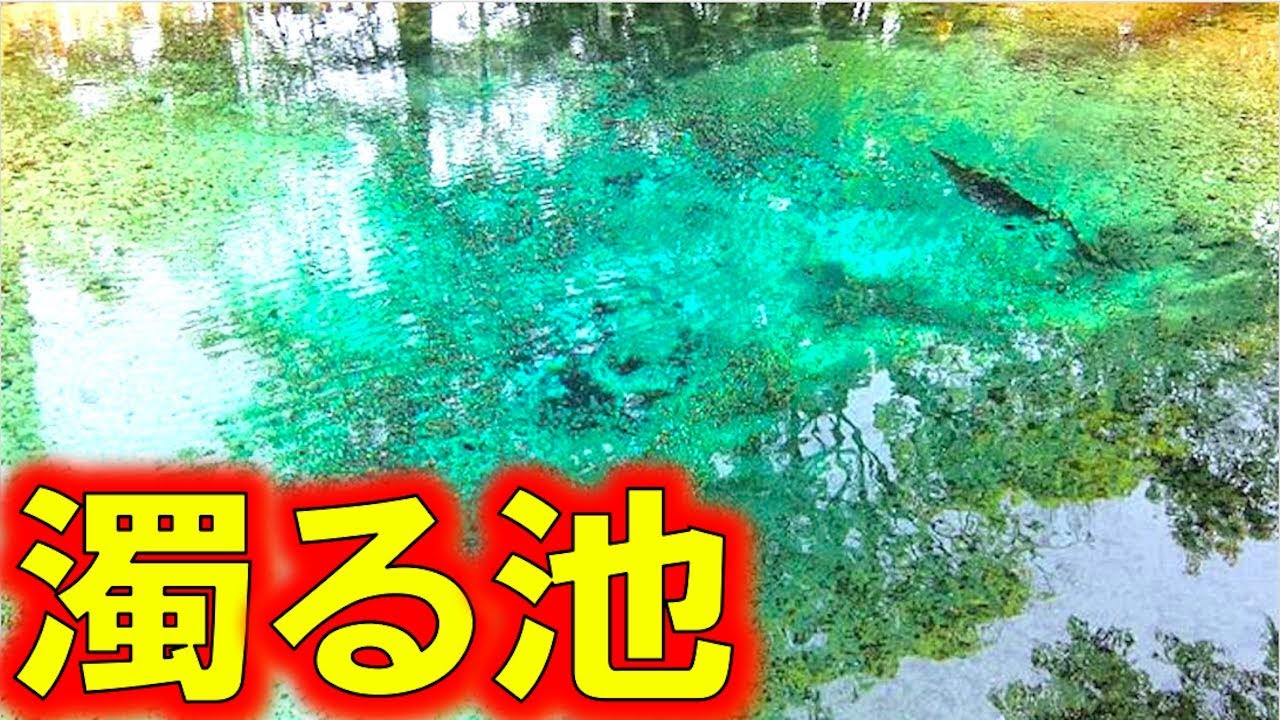 山口県のパワースポットが地震を予測する？山口県在住のリータンさんからのリクエスト