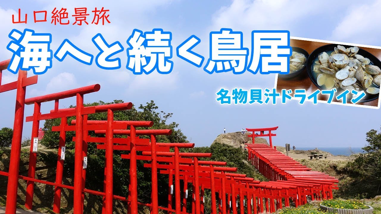 定番だけど・・やっぱり絶景の『 元乃隅神社 』へ♪ ~ 鳥居が何本あるか知ってました? ~