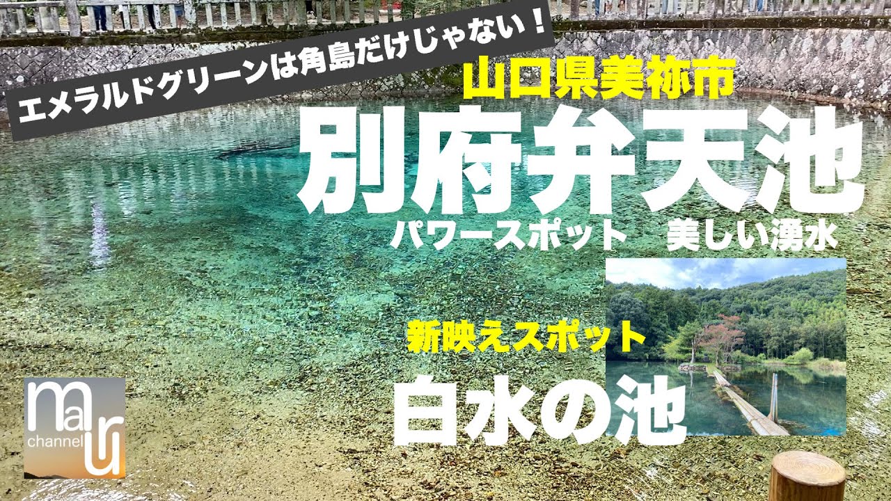 山口県【別府弁天池】【白水の池】角島だけじゃない!美祢のパワースポット