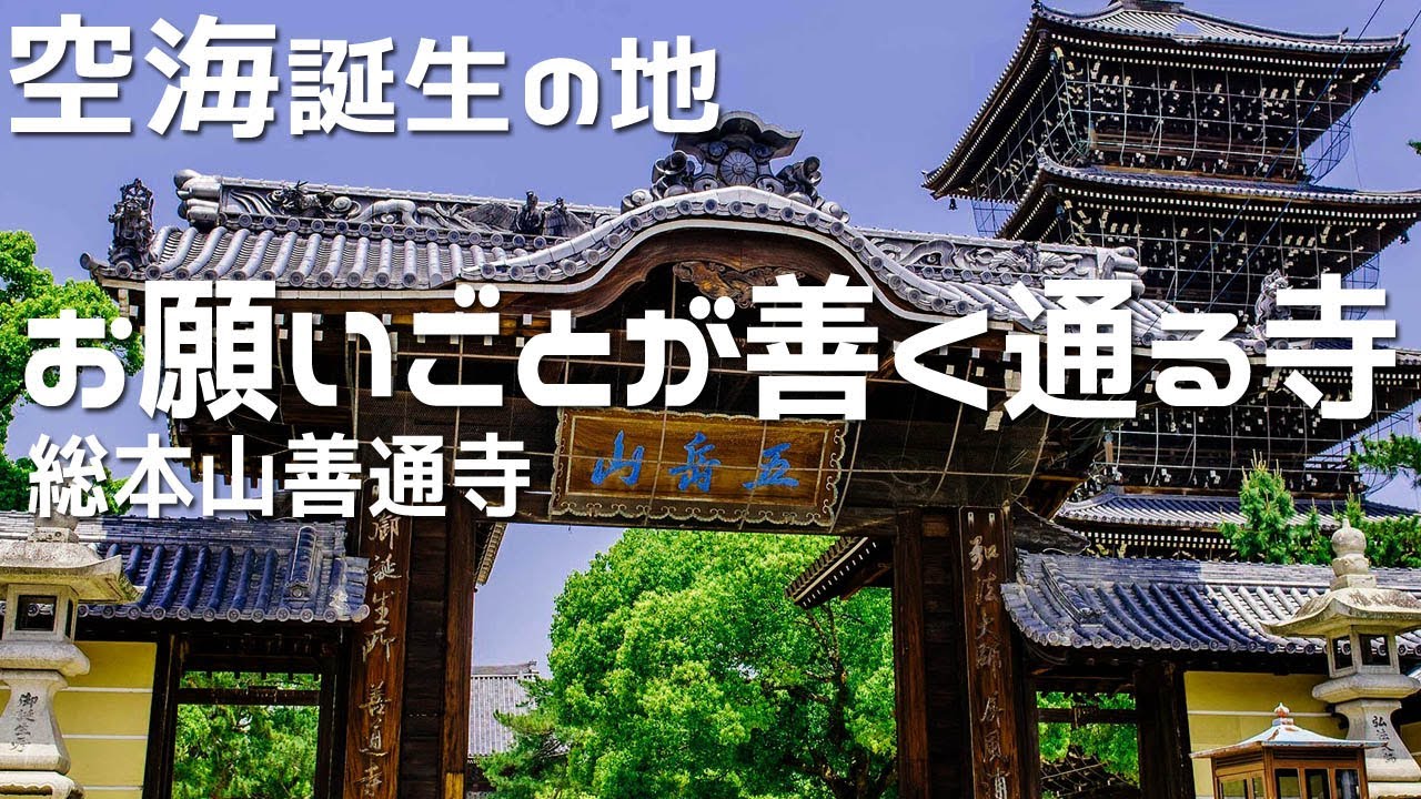 【香川県 総本山善通寺】有数のパワースポット！四国霊場第75番札所巡礼巡り（善通寺市）vlog