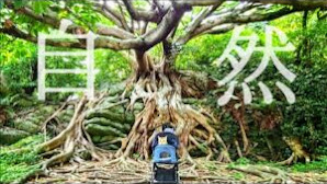 高知県のパワースポットを猫と歩いたら力が湧いてきた！