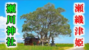 瀬織津姫を祀る【瀬川神社】佐賀県小城市【九州の神社・パワースポット巡り】