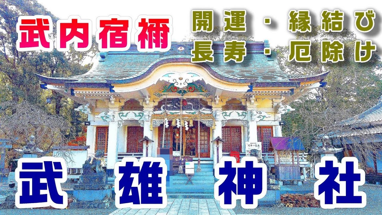 【武雄神社】佐賀県武雄市【神社・御朱印】樹齢3000年以上の御神木【4K】