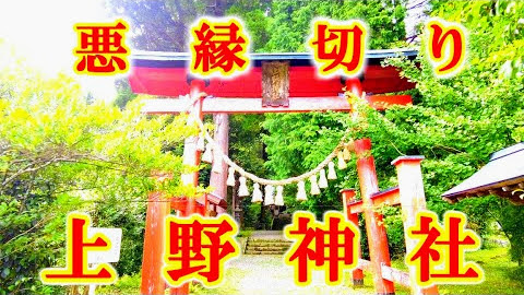 【悪縁切り神社】上野神社『宮崎県高千穂のパワースポット』4K